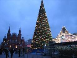 Новогодние елки в Москве 1
